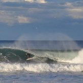 The Perfect Arvo, Tathra