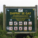 Dappat se gat, Koeel Bay