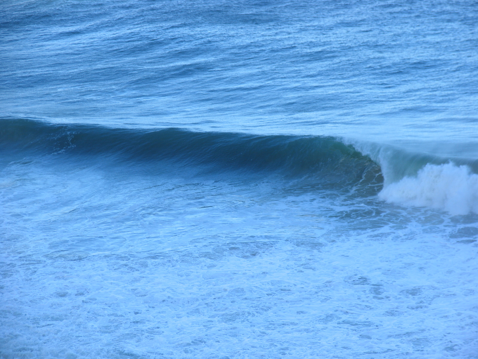 I want one, Koeel Bay