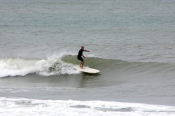 Rocky, Addington (South Beach) photo