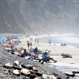 Hanging Out, Indian Beach/Ecola State Park