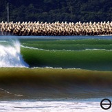 Navega clássico., Navegantes