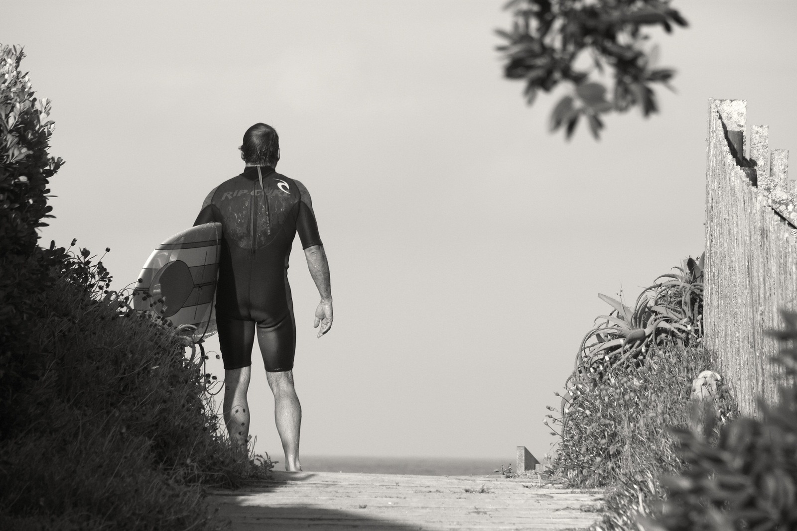 Surf Scanning, Pataua