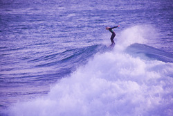 porthleven troy pointer freelance photographer  photo