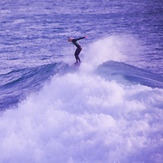 porthleven troy pointer freelance photographer 