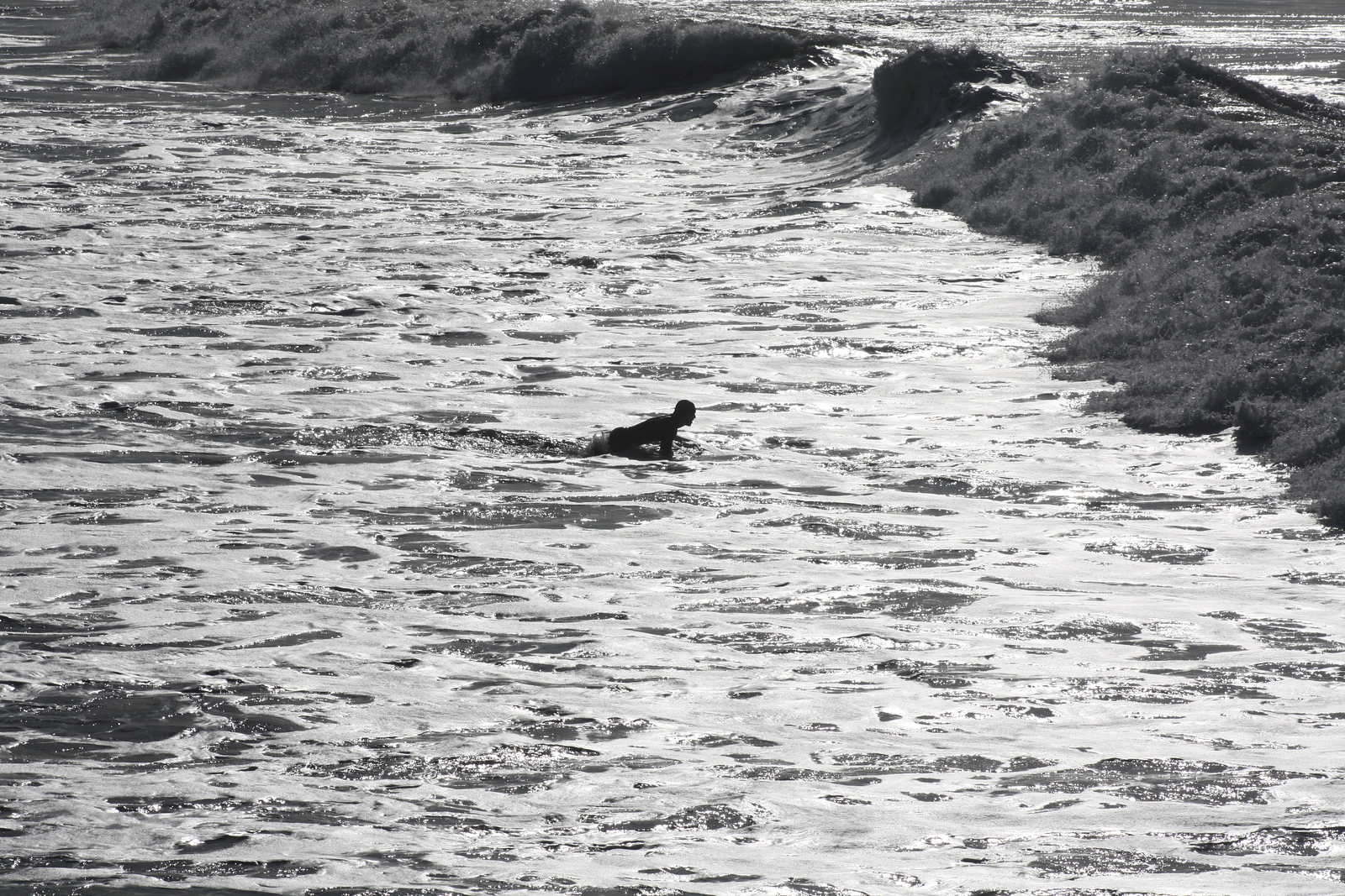 Early Morning Duck Dive, Newport Beach