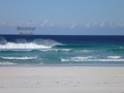 beautiful left, Boranup Beach photo