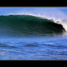 BLUE RAZOR, Dunes Cove