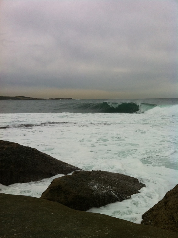 cape solander, Botany Bay