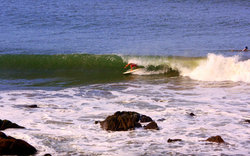 La Posada, Sharkbay photo