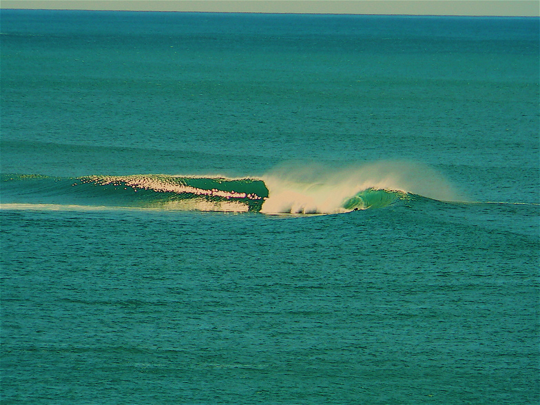 The Reef -- Sunny Coast, you know where !!