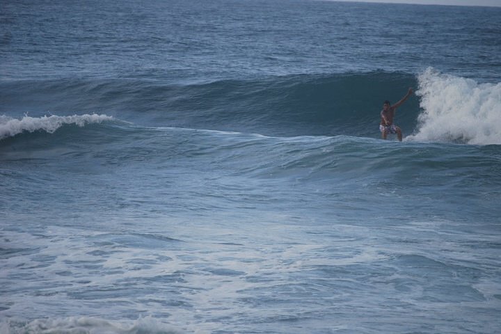 los naranjos, Parque Tayrona
