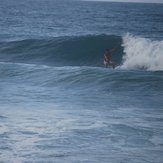 los naranjos, Parque Tayrona