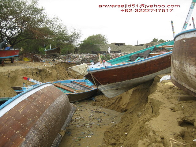 pishukan teiyab photo