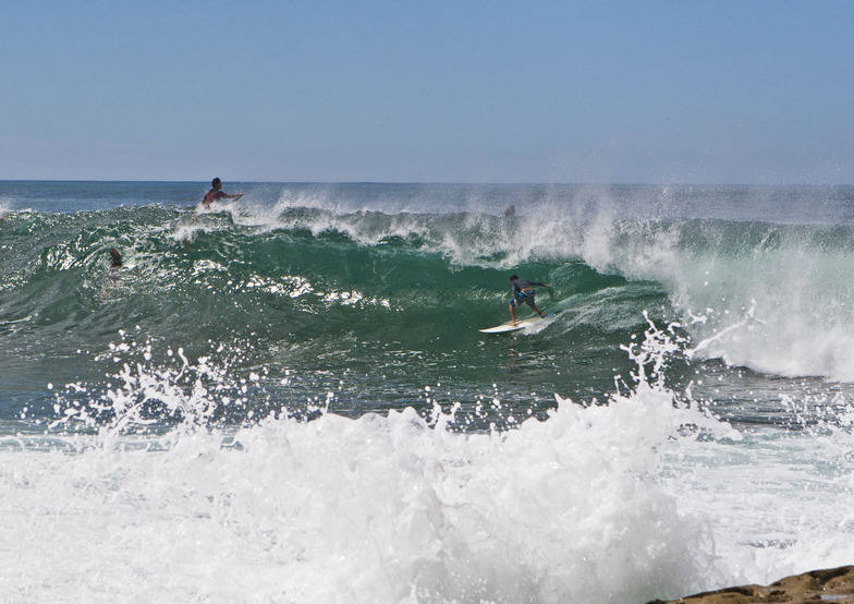 Dee Why Point surf break