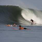 buck ,may 2011, Punta Mango