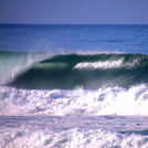 BLUE DRAGON, Dunes Cove