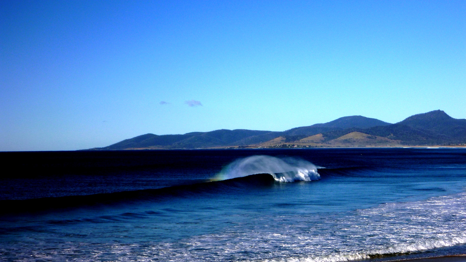 East Coast Glory, Shelly Point