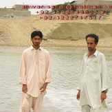 anwar sajid pishukan /anwar-sajidi@hotmail.com/+92-3222747517