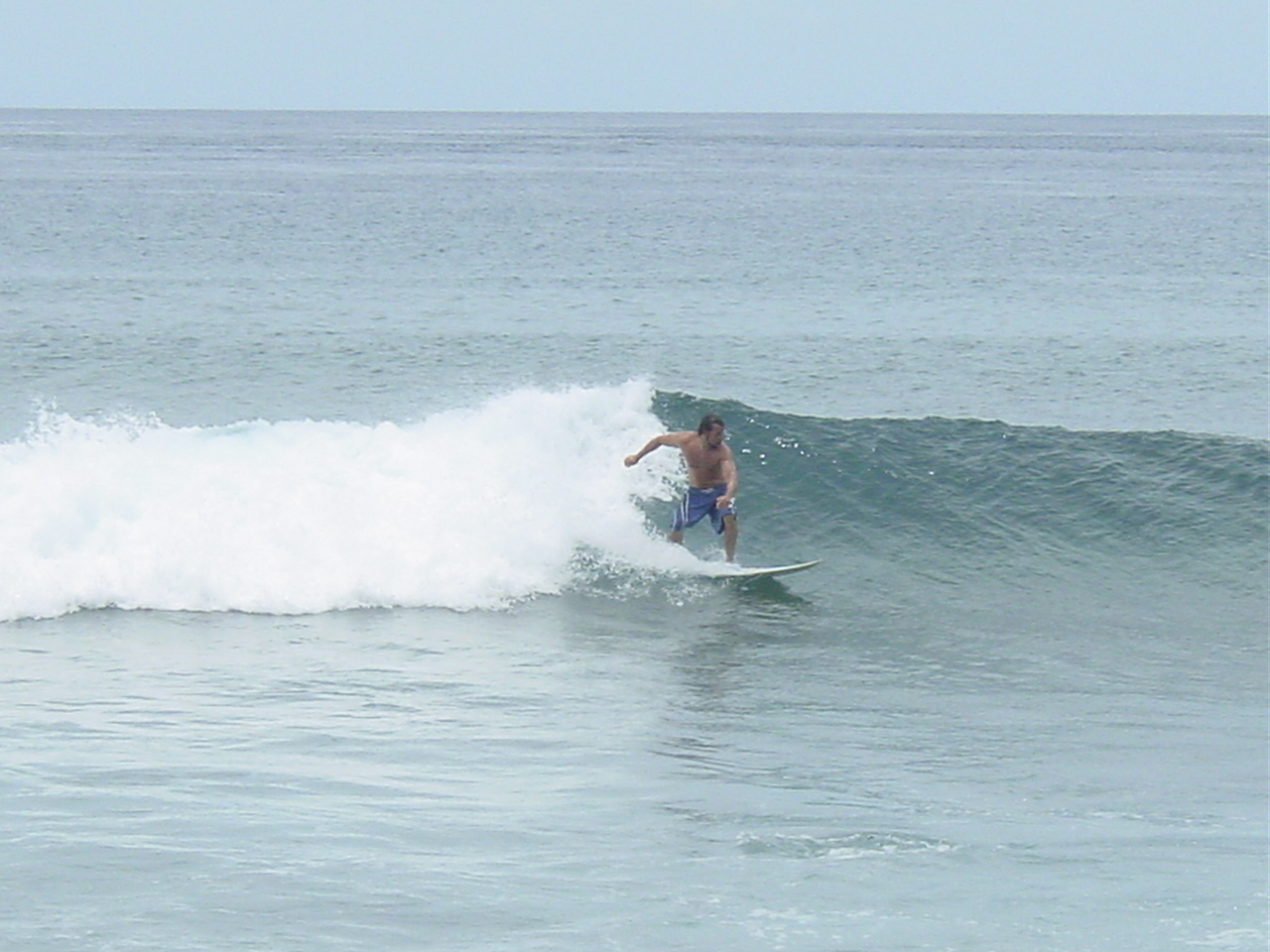 Lohifushi AUG 2005, Lohi's