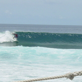 Lohifushi AUG 2005, Lohi's