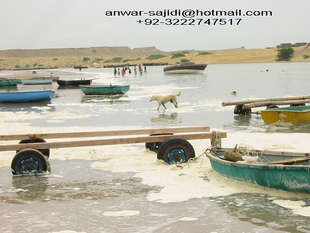 anwar sajid pishukan 03222747517 ( anwar-sajidi@hotmail.com ) ( anwarsajid51@yahoo.com)