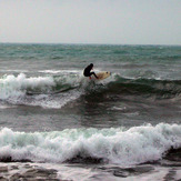 south-easter, Cartello (Ansedonia)