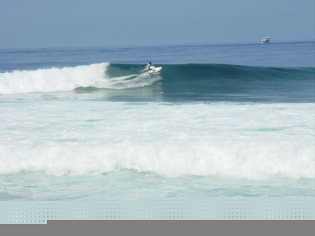 Lohifushi AUG 2005, Lohi's