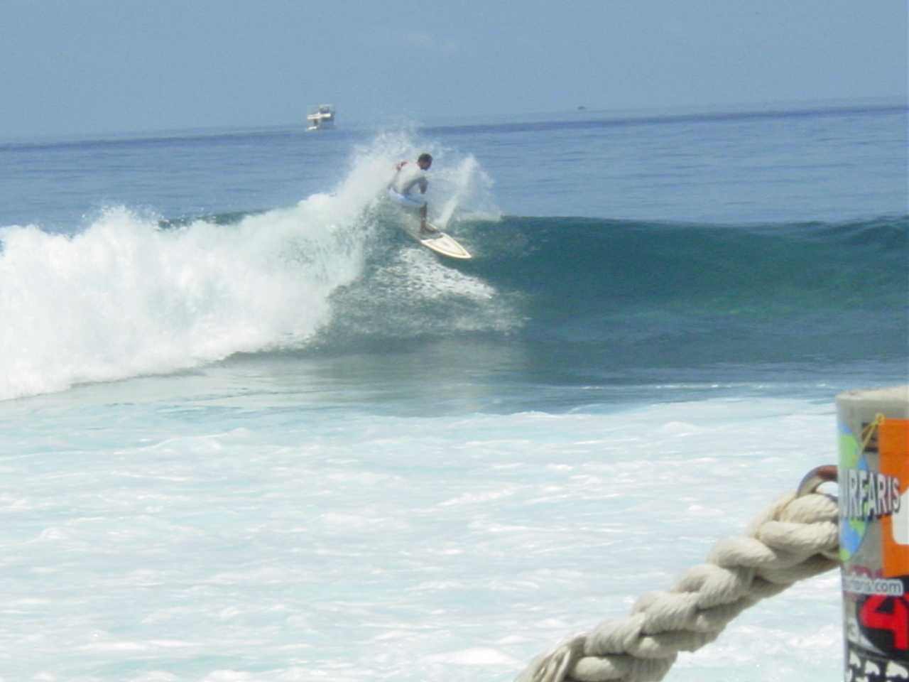 Lohifushi AUG 2005, Lohi's