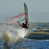 Scotty at Cold Knap, The Knap