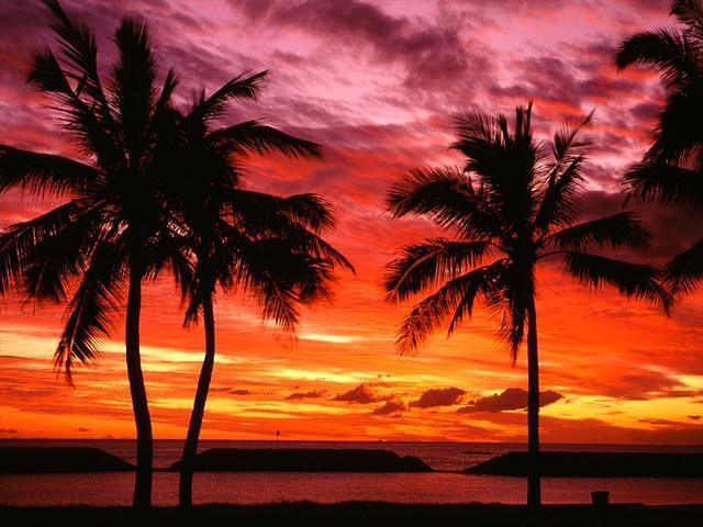 hawaiian sunset