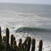 punta de lobos