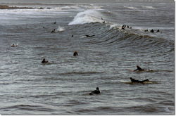 Trecco Bay photo