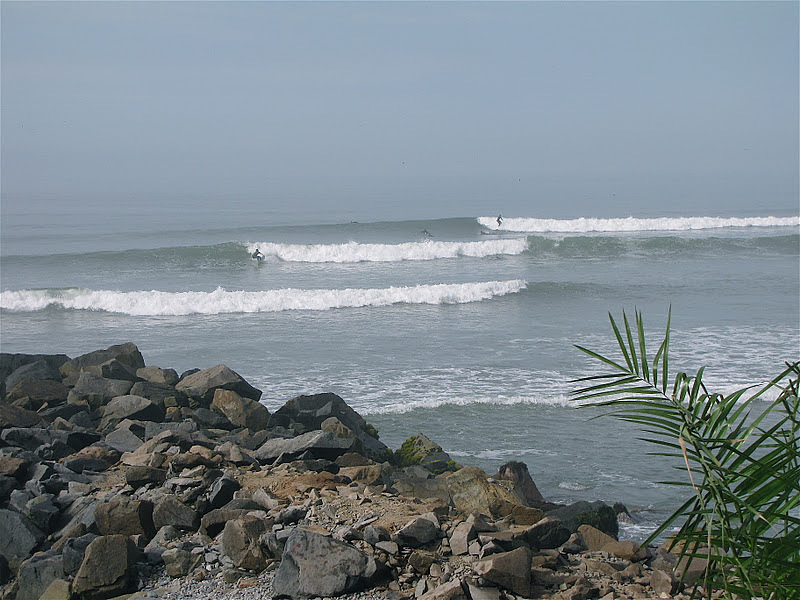 marejada norte, Pampilla