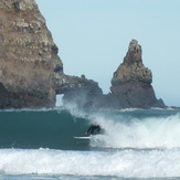 Hickory Bay Barrel, Banks Peninsula - Hickory Bay