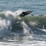 nice turn, Raglan-Whale Bay