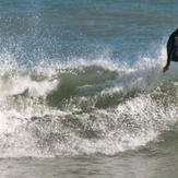 yes, Raglan-Manu Bay