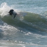 nice, Raglan-Whale Bay