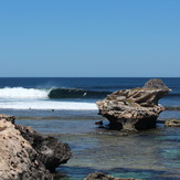 low tide chickens, Chicken Reef