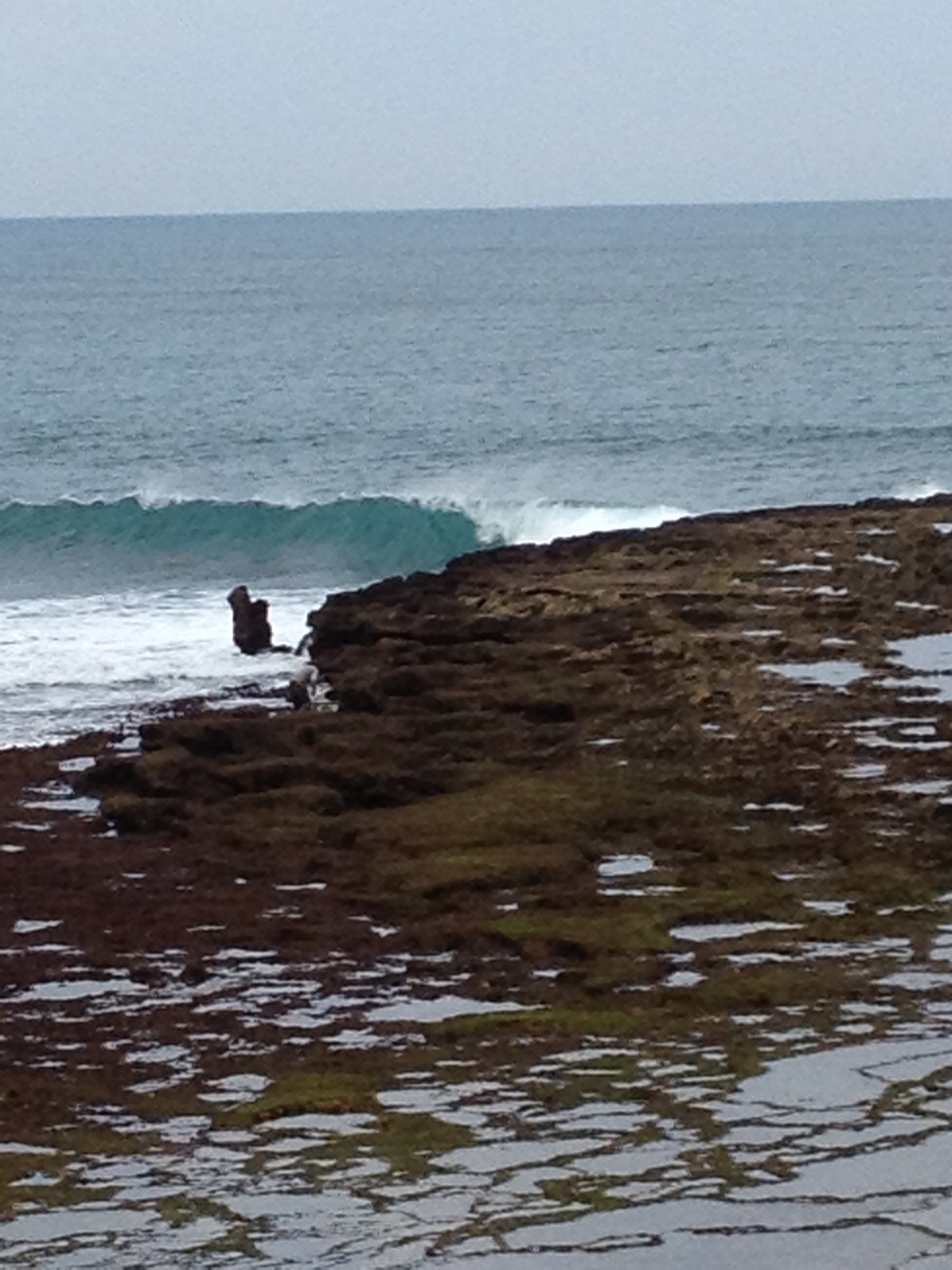 Bouznika February 11, 2012, Bouznika Plage