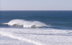 Good Days at La Fonda photo