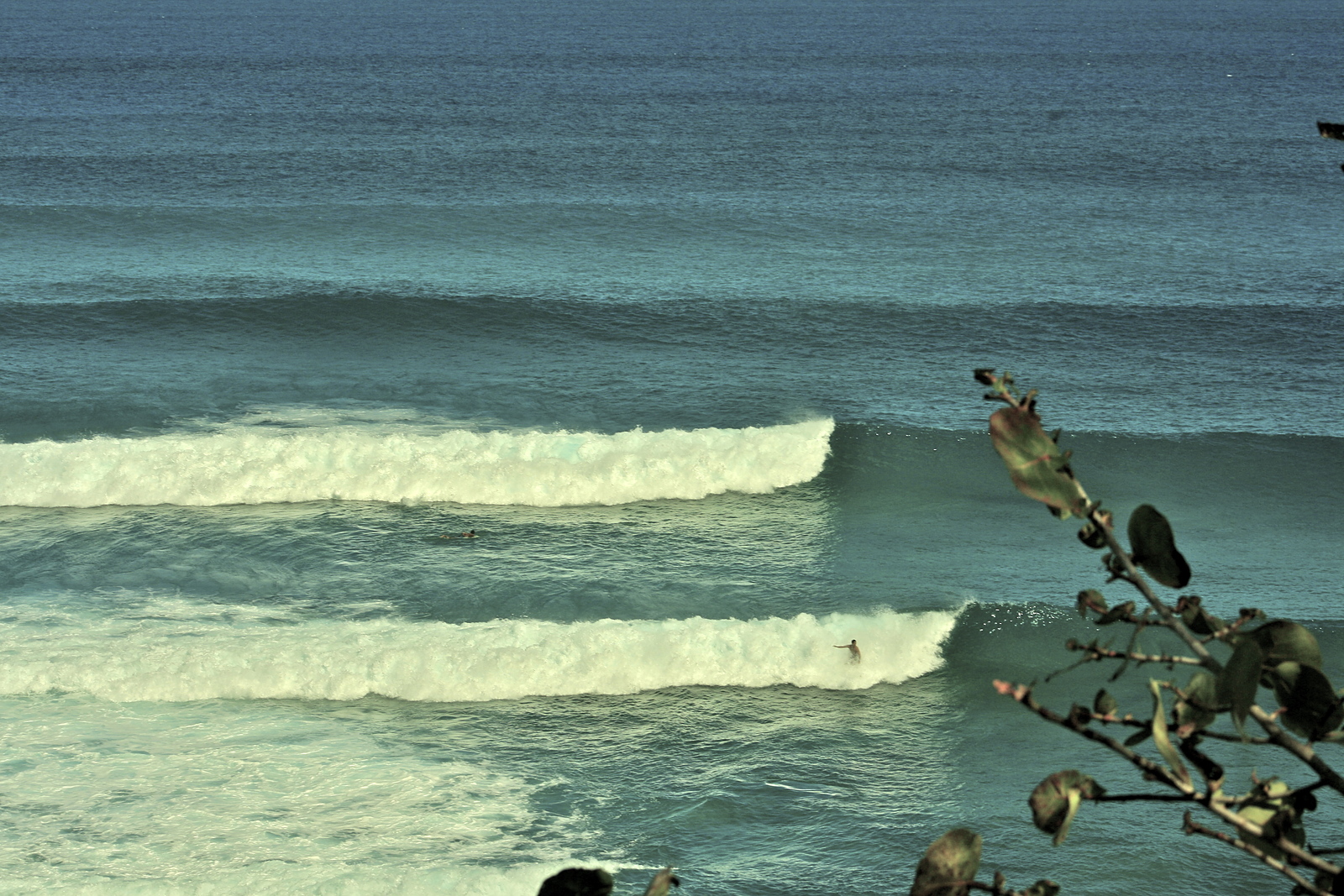 epico dia, La Preciosa