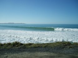 Kahutara photo