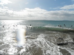 Iseenine., Lauderdale Point photo