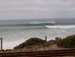 Bullies stands up, Bulli Beach photo