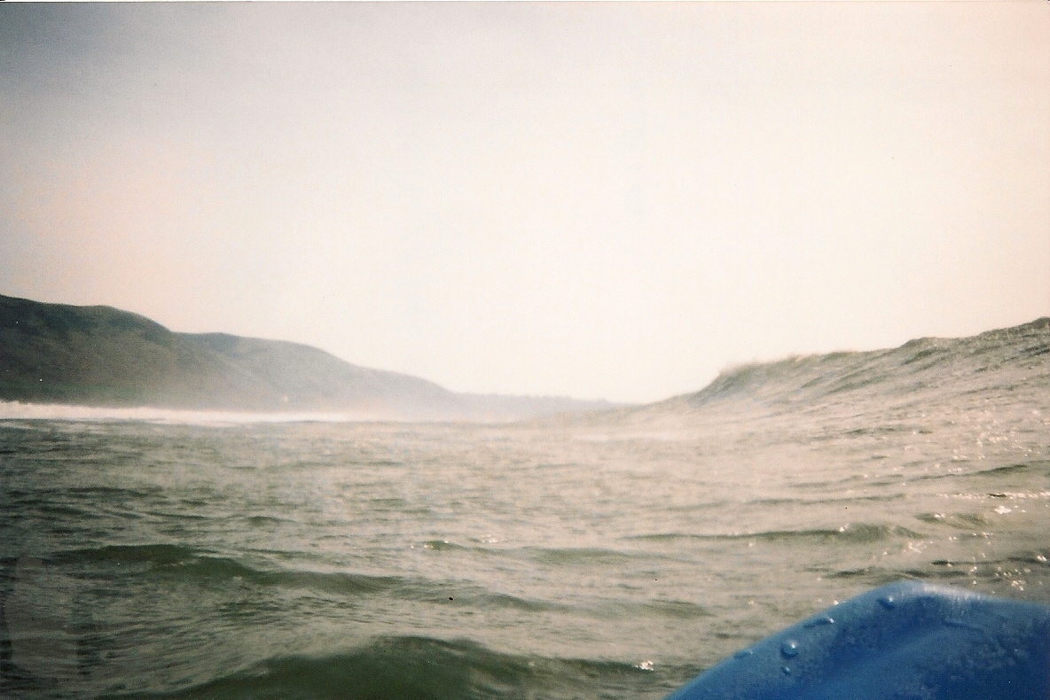 sitting on shoulder, Llangennith