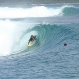 DANIEL MAWKES TUBED AT MACCAS, Macaronis