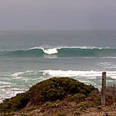 South Oz reef  '12, Victor Harbour (Shark Alley)