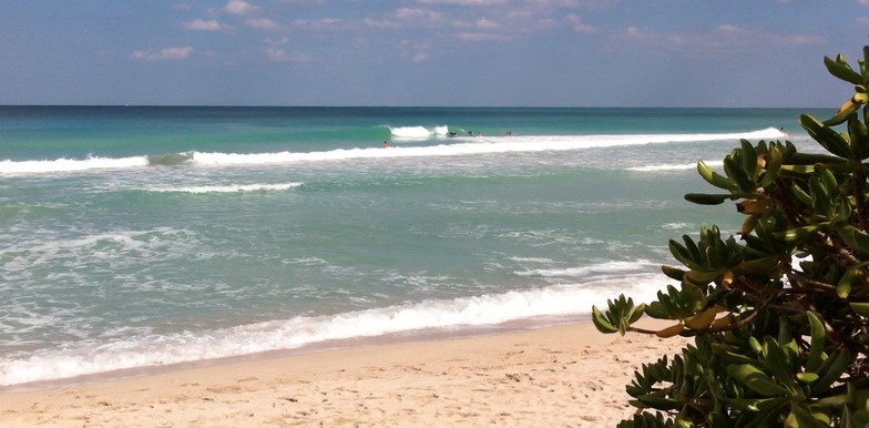 South Beach surf break