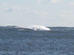 Feb 2012, Beadnell Bay photo